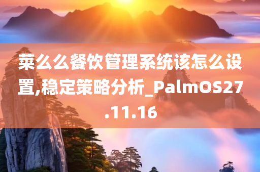 菜么么餐饮管理系统该怎么设置,稳定策略分析_PalmOS27.11.16