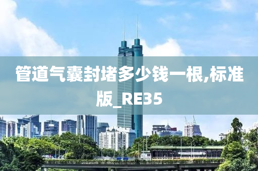 管道气囊封堵多少钱一根,标准版_RE35