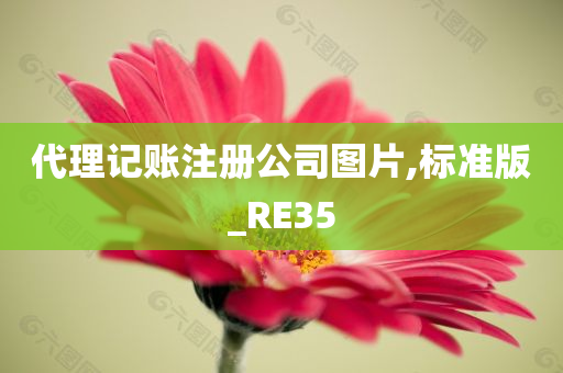 代理记账注册公司图片,标准版_RE35