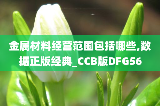 金属材料经营范围包括哪些,数据正版经典_CCB版DFG56