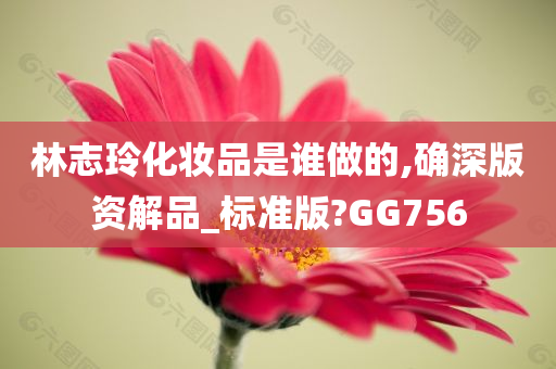 林志玲化妆品是谁做的,确深版资解品_标准版?GG756