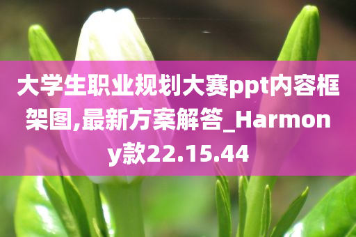 大学生职业规划大赛ppt内容框架图,最新方案解答_Harmony款22.15.44