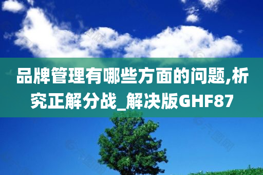 品牌管理有哪些方面的问题,析究正解分战_解决版GHF87