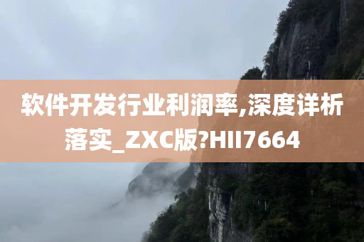 软件开发行业利润率,深度详析落实_ZXC版?HII7664