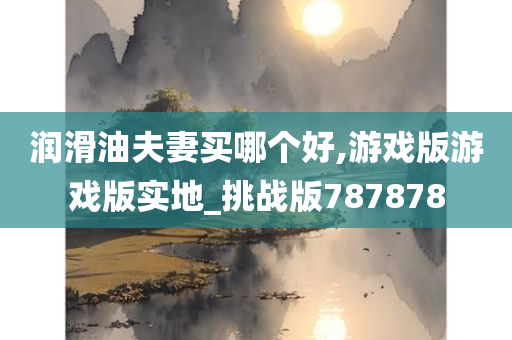 润滑油夫妻买哪个好,游戏版游戏版实地_挑战版787878