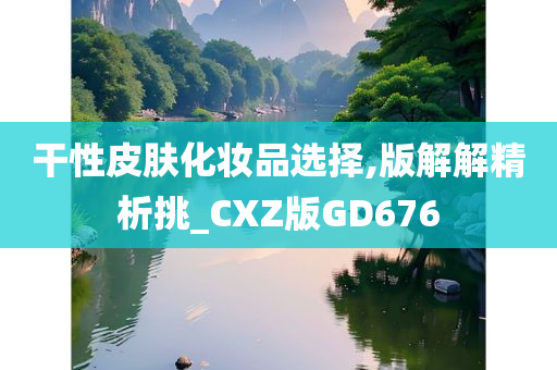 干性皮肤化妆品选择,版解解精析挑_CXZ版GD676