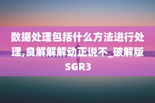 数据处理包括什么方法进行处理,良解解解动正说不_破解版SGR3