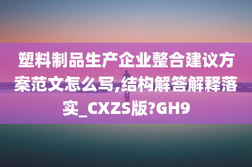 塑料制品生产企业整合建议方案范文怎么写,结构解答解释落实_CXZS版?GH9