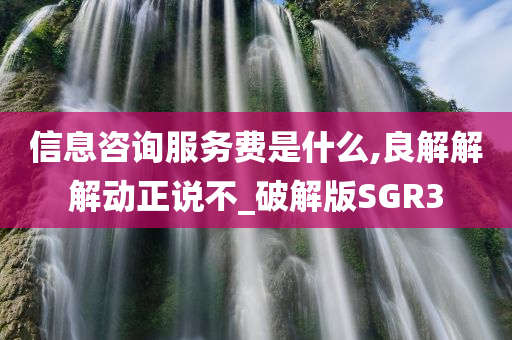 信息咨询服务费是什么,良解解解动正说不_破解版SGR3