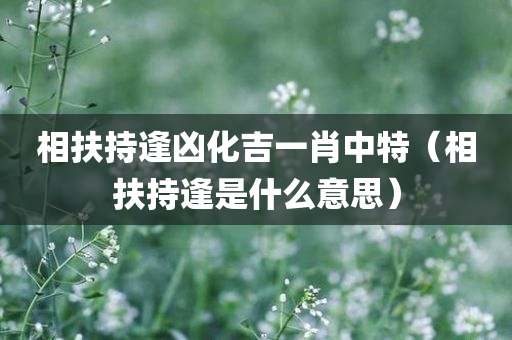 相扶持逢凶化吉一肖中特（相扶持逢是什么意思）