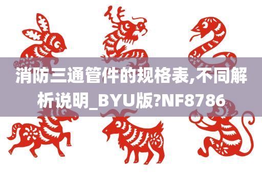 消防三通管件的规格表,不同解析说明_BYU版?NF8786