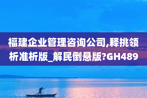 福建企业管理咨询公司,释挑领析准析版_解民倒悬版?GH489