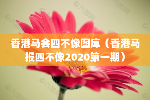 香港马会四不像图库（香港马报四不像2020第一期）