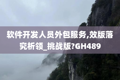 软件开发人员外包服务,效版落究析领_挑战版?GH489