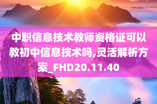 中职信息技术教师资格证可以教初中信息技术吗,灵活解析方案_FHD20.11.40