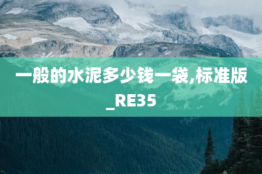 一般的水泥多少钱一袋,标准版_RE35