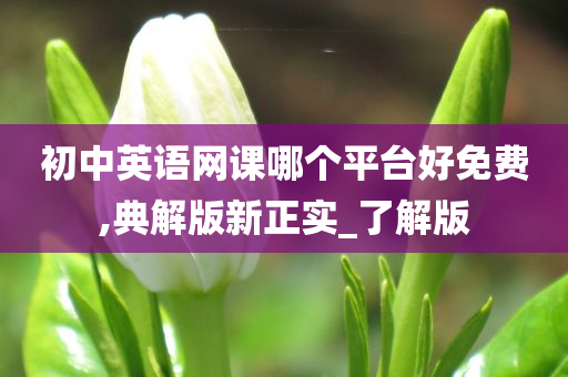 初中英语网课哪个平台好免费,典解版新正实_了解版