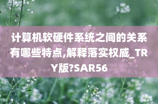 计算机软硬件系统之间的关系有哪些特点,解释落实权威_TRY版?SAR56