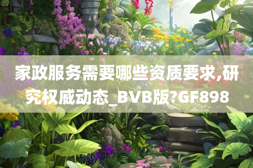 家政服务需要哪些资质要求,研究权威动态_BVB版?GF898