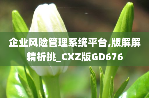 企业风险管理系统平台,版解解精析挑_CXZ版GD676