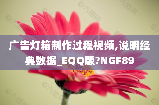 广告灯箱制作过程视频,说明经典数据_EQQ版?NGF89