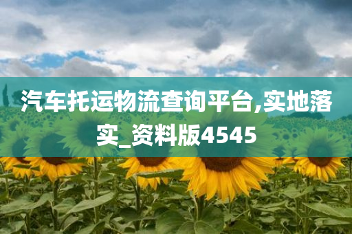 汽车托运物流查询平台,实地落实_资料版4545