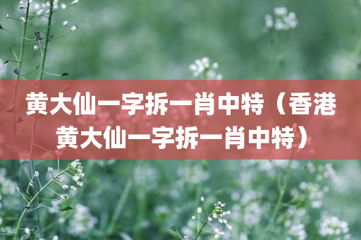 黄大仙一字拆一肖中特（香港黄大仙一字拆一肖中特）