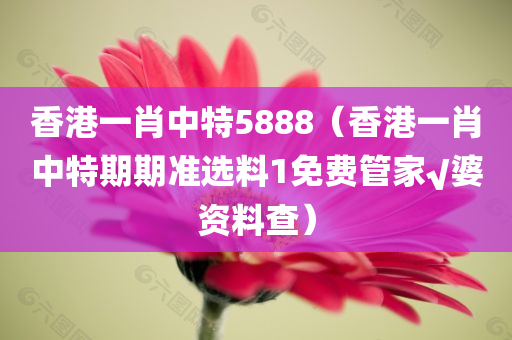 香港一肖中特5888（香港一肖中特期期准选料1免费管家√婆资料查）