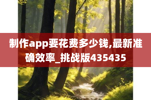 制作app要花费多少钱,最新准确效率_挑战版435435