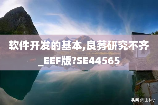 软件开发的基本,良莠研究不齐_EEF版?SE44565