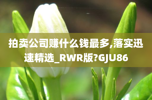 拍卖公司赚什么钱最多,落实迅速精选_RWR版?GJU86