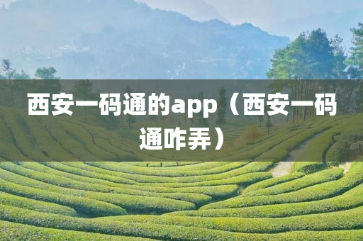 西安一码通的app（西安一码通咋弄）