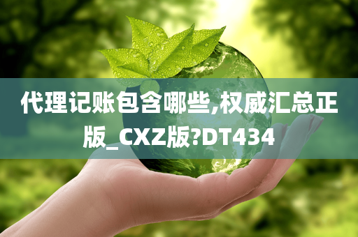 代理记账包含哪些,权威汇总正版_CXZ版?DT434