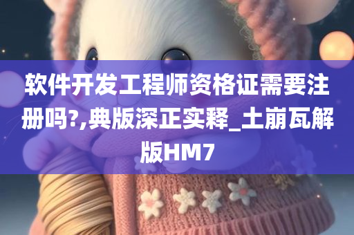 软件开发工程师资格证需要注册吗?,典版深正实释_土崩瓦解版HM7