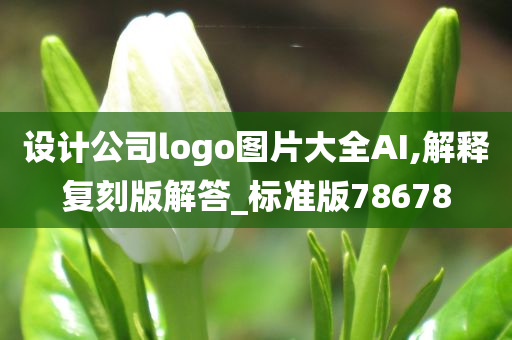 设计公司logo图片大全AI,解释复刻版解答_标准版78678