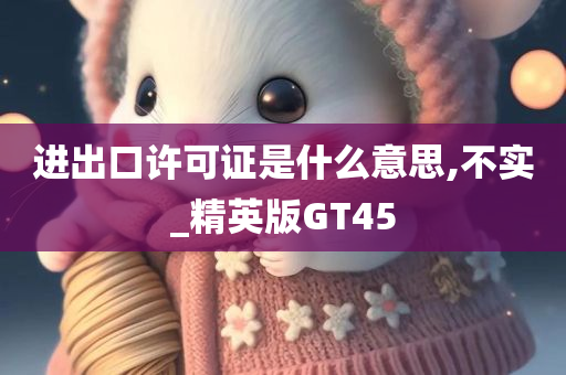 进出口许可证是什么意思,不实_精英版GT45