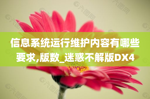 信息系统运行维护内容有哪些要求,版数_迷惑不解版DX4