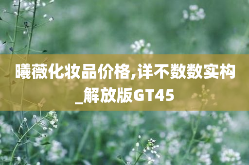 曦薇化妆品价格,详不数数实构_解放版GT45