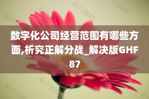 数字化公司经营范围有哪些方面,析究正解分战_解决版GHF87