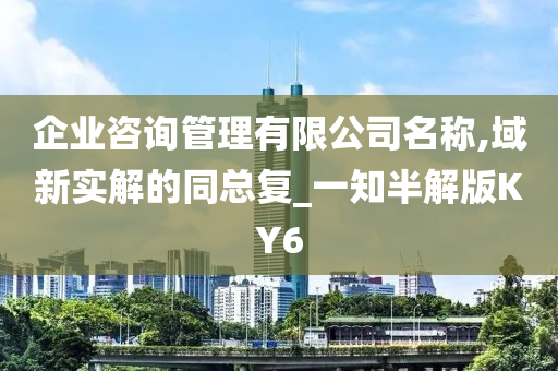 企业咨询管理有限公司名称,域新实解的同总复_一知半解版KY6