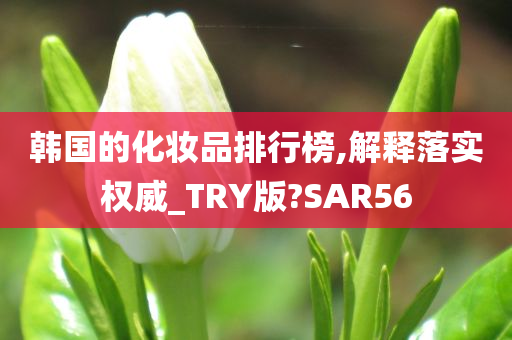 韩国的化妆品排行榜,解释落实权威_TRY版?SAR56