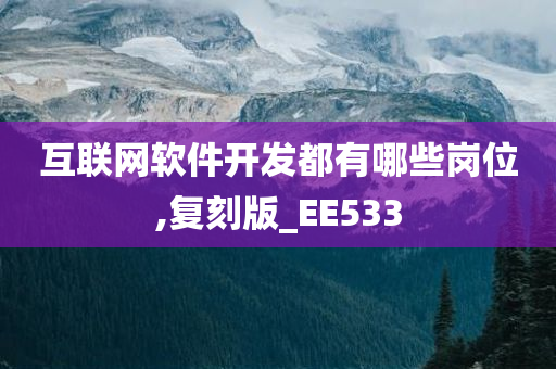 互联网软件开发都有哪些岗位,复刻版_EE533