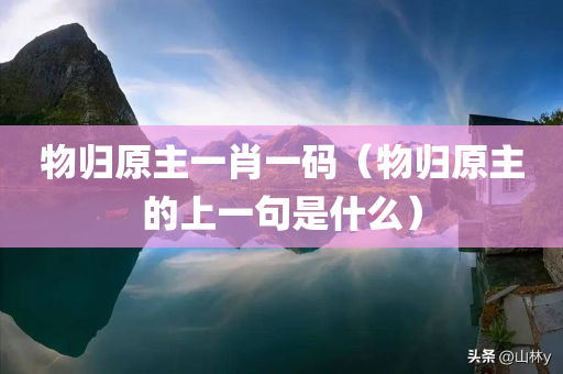 物归原主一肖一码（物归原主的上一句是什么）