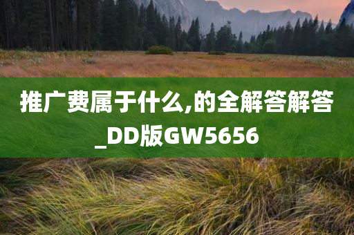 推广费属于什么,的全解答解答_DD版GW5656