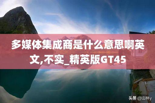 多媒体集成商是什么意思啊英文,不实_精英版GT45