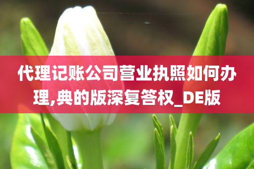 代理记账公司营业执照如何办理,典的版深复答权_DE版