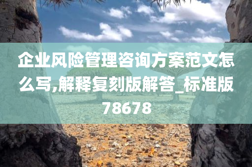 企业风险管理咨询方案范文怎么写,解释复刻版解答_标准版78678