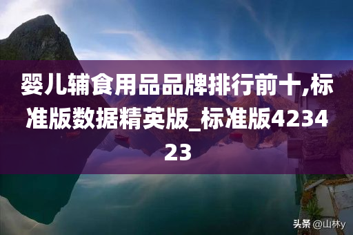 婴儿辅食用品品牌排行前十,标准版数据精英版_标准版423423