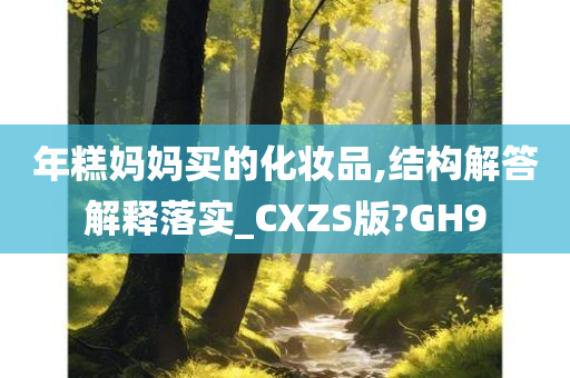 年糕妈妈买的化妆品,结构解答解释落实_CXZS版?GH9