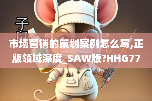 市场营销的策划案例怎么写,正版领域深度_SAW版?HHG77